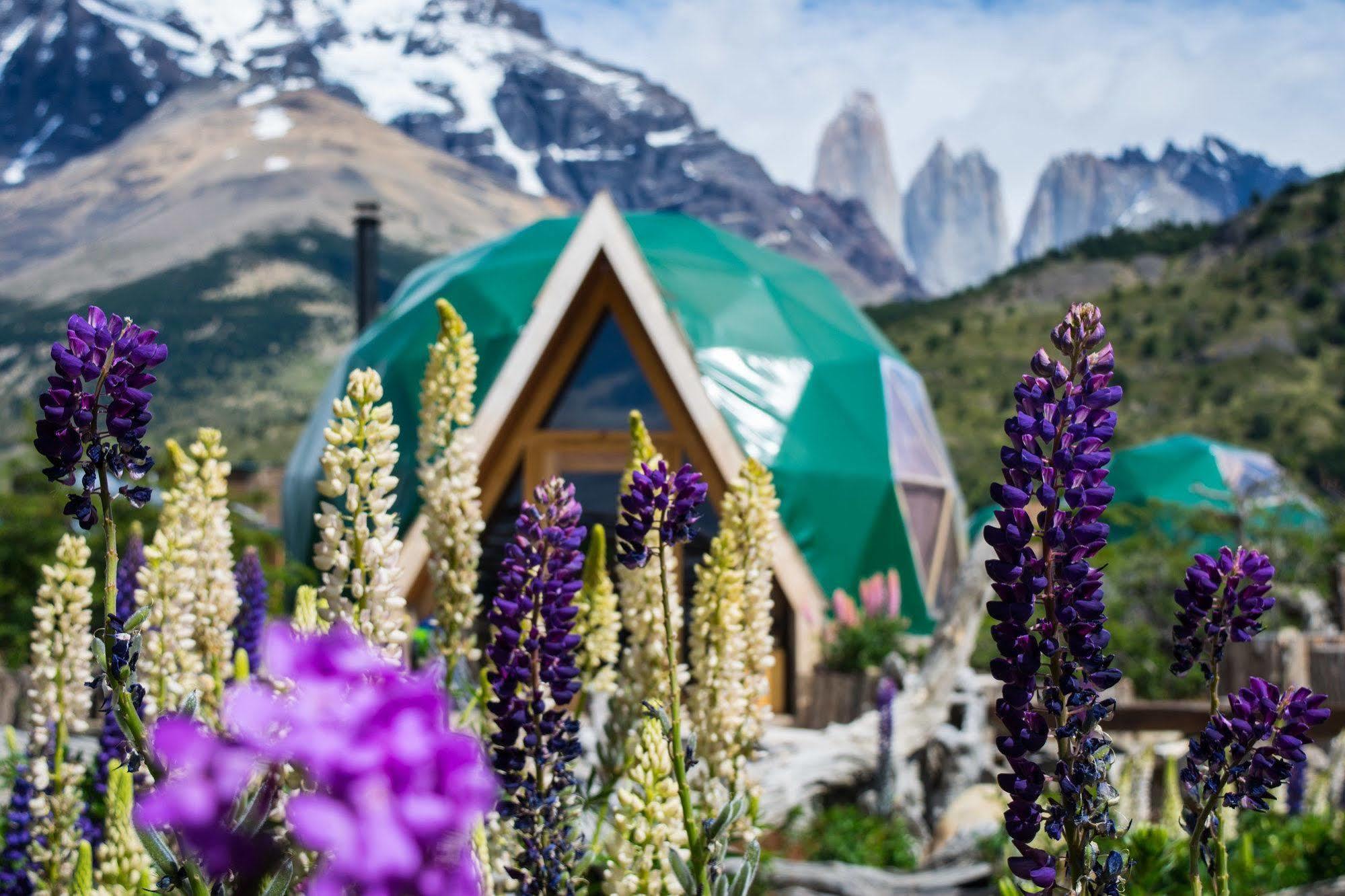 Ecocamp Patagonia Villa Torres del Paine National Park Exterior photo
